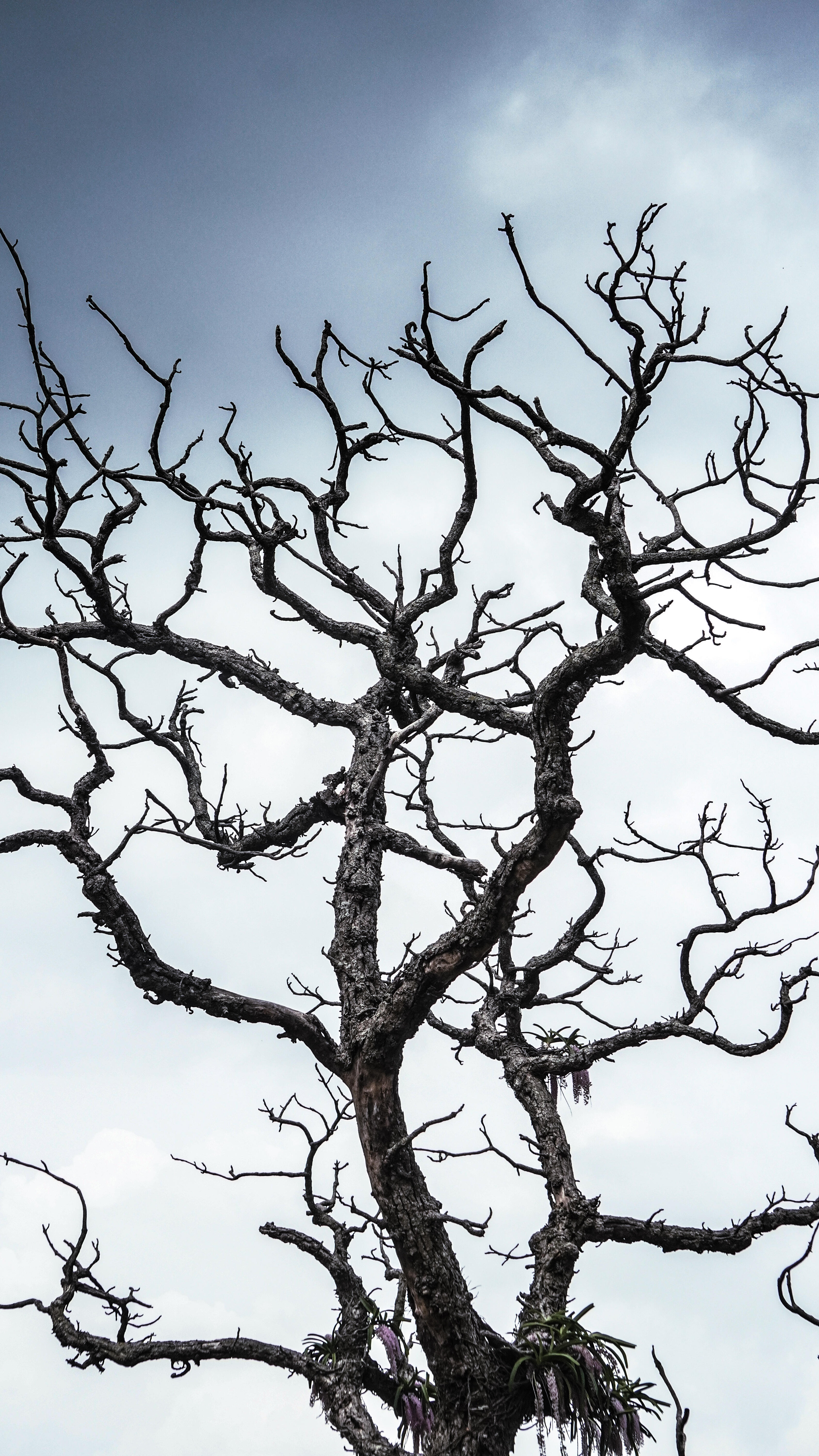 Fine Art Prints